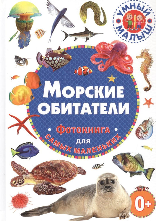 Обложка книги "Морские обитатели. Фотокнига для самых маленьких"