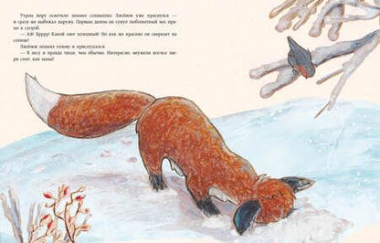 Фотография книги "Мотшиуниг: Затишье в лесу"