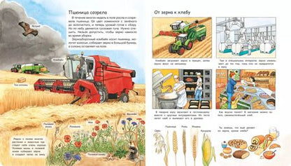 Фотография книги "Моя первая энциклопедия. На ферме"