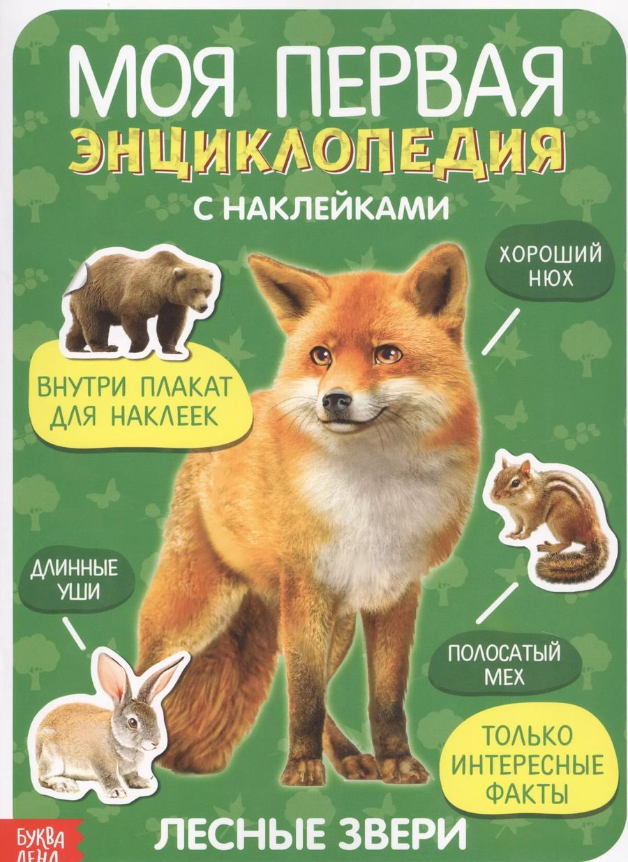 Обложка книги "Моя первая энциклопедия с наклейками. Лесные звери"