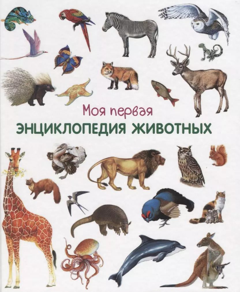 Обложка книги "Моя первая энциклопедия животных"