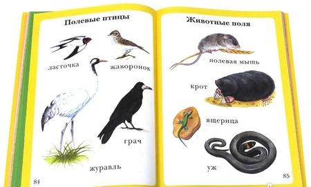 Фотография книги "Моя первая книга. Самая любимая. От 6 месяцев до 3 лет"