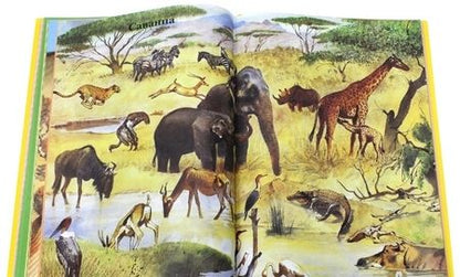 Фотография книги "Моя первая книга. Самая любимая. От 6 месяцев до 3 лет"