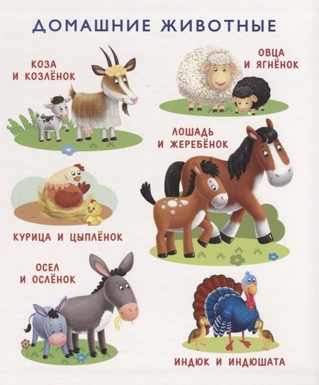 Фотография книги "Моя первая книга о природе"