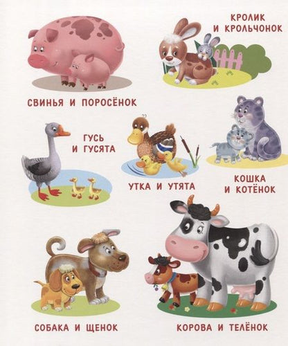 Фотография книги "Моя первая книга о природе"