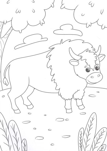 Фотография книги "МОЯ РАСКРАСКА А4 чёрная. В ЗООПАРКЕ"