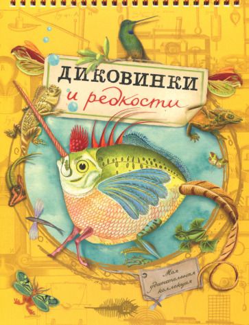 Обложка книги "Моя удивительная коллекция. Диковинки и редкости"