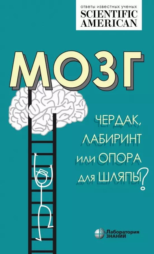Обложка книги "Мозг: чердак, лабиринт или опора для шляпы?"
