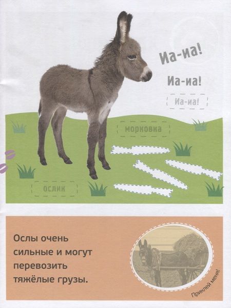 Фотография книги "Му-у! Питомцы"