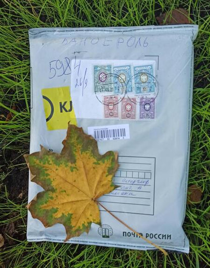 Фотография книги "Мультановская: Огородные сказки"