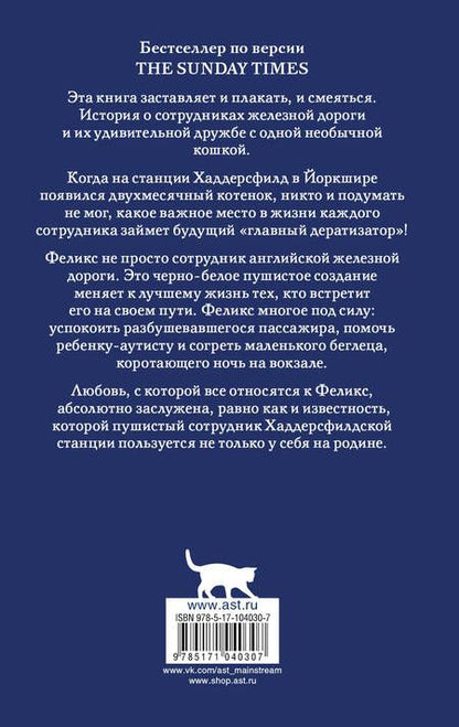 Фотография книги "Мур: Феликс с железной дороги"