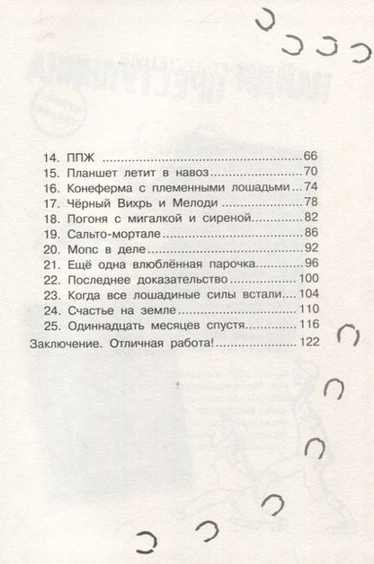 Фотография книги "Музер: Найди преступника. Черный Вихрь"