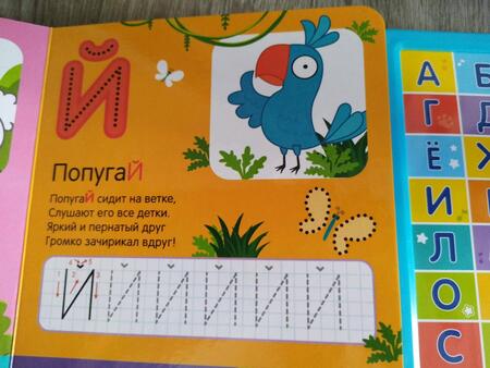 Фотография книги "Музыкальная азбука. Синий трактор"