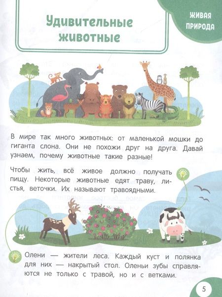 Фотография книги "Н. Баранова: Моя первая книга открытий: для детей от 4-х лет"