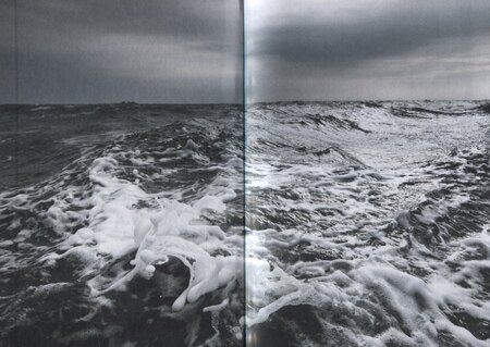 Фотография книги "Н. Фишер: Ковчег Евы"