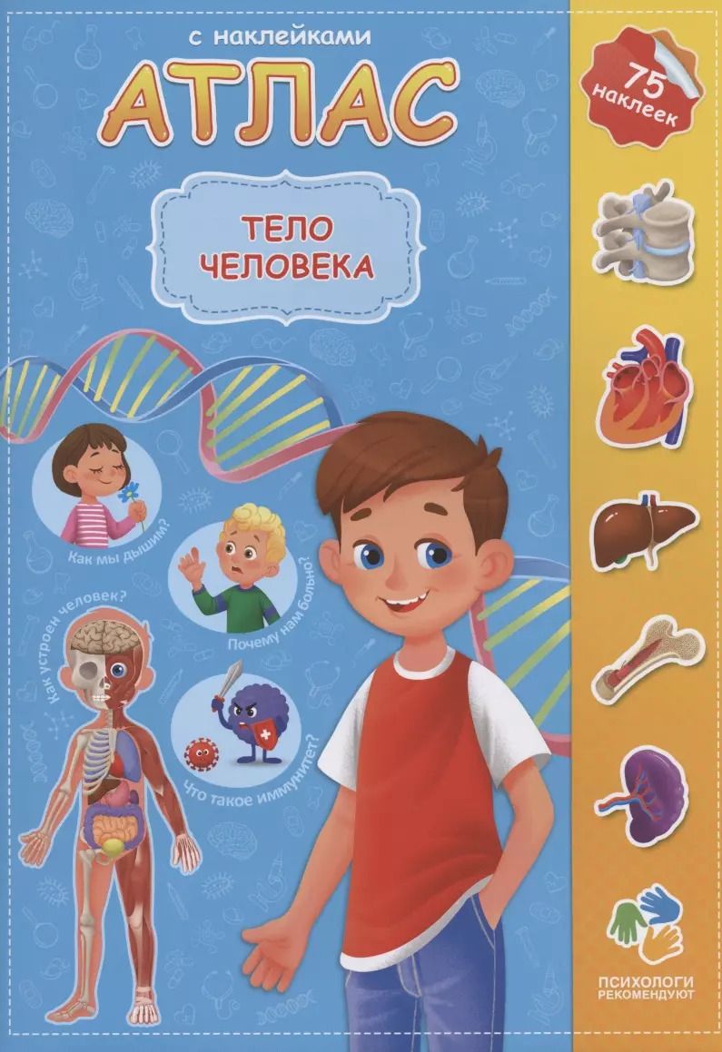Обложка книги "Н. Зленко: Атлас. Тело человека"