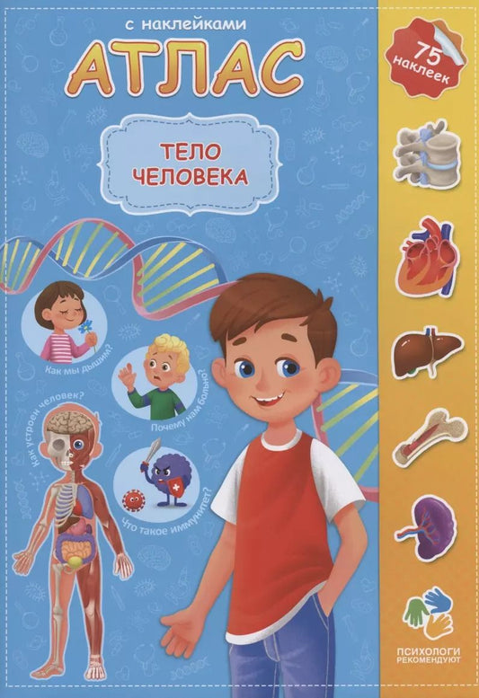 Обложка книги "Н. Зленко: Атлас. Тело человека"