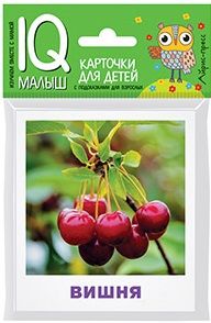 Обложка книги "Н.П. Ходюшина: Умный малыш. Что растёт в саду?"