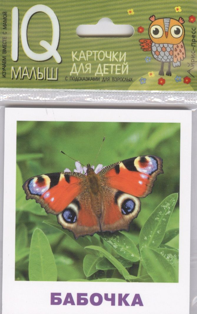 Обложка книги "Н.П. Ходюшина: Умный малыш. Насекомые"