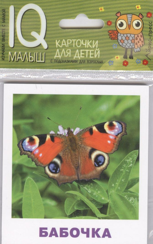 Обложка книги "Н.П. Ходюшина: Умный малыш. Насекомые"