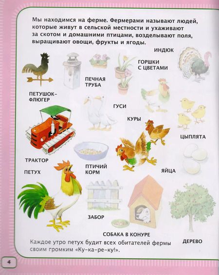 Фотография книги "На ферме (+200 наклеек)"