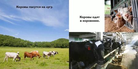 Фотография книги "На ферме"