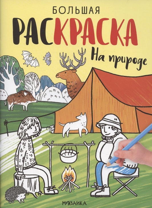 Обложка книги "На природе. Большие раскраски"