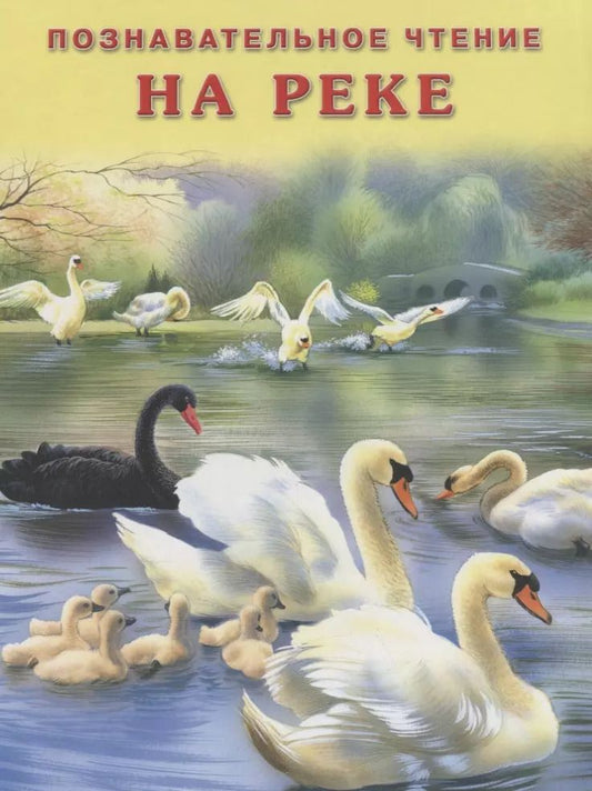 Обложка книги "На реке (мПозЧт) Гурина"