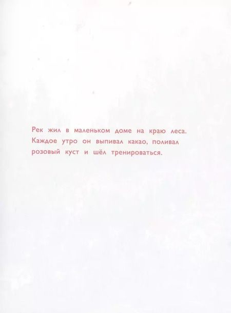 Фотография книги "Наама Бензиман: Рек и Мярек"