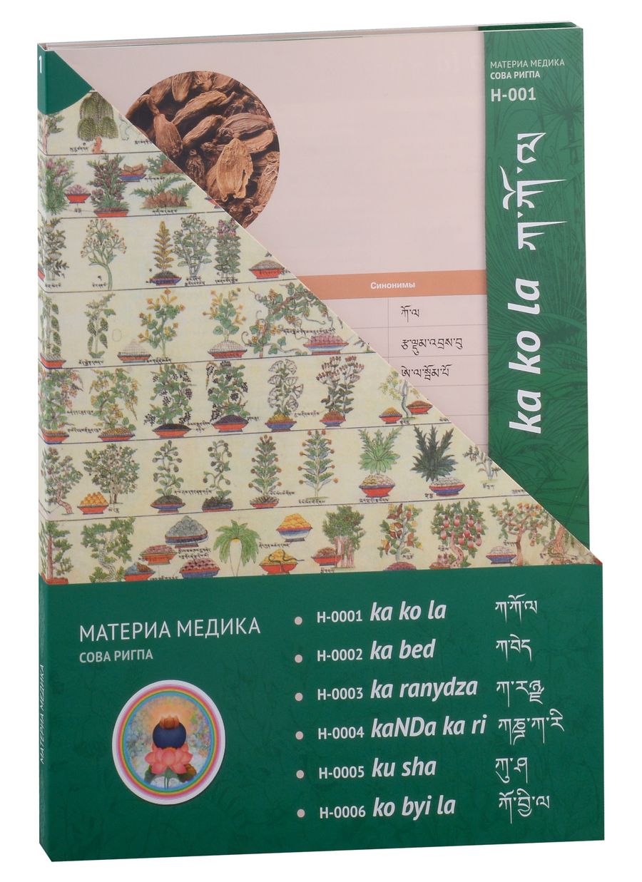 Обложка книги "Набор карточек Материя Медика Сова Ригпа"