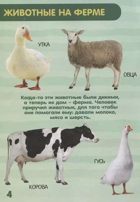 Фотография книги "Набор книжек с наклейками №2. Комплект из 6 книг"