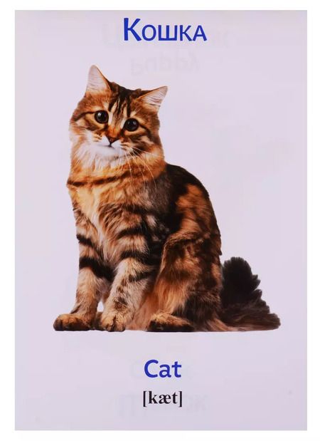 Фотография книги "Набор развивающих книг "Растем вместе. Английский язык" (комплект из 8 книг)"