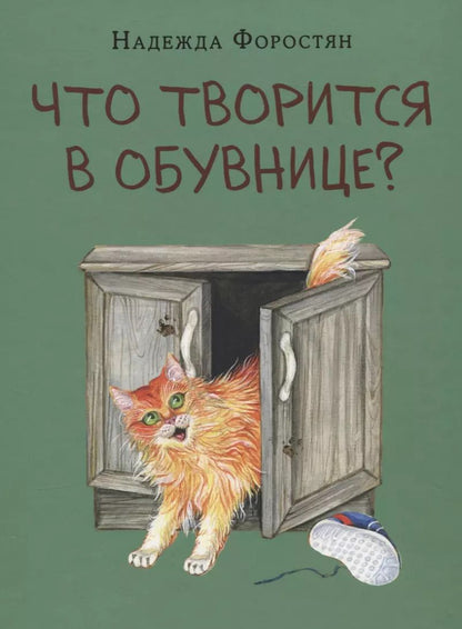 Обложка книги "Надежда Форостян: Что творится в обувнице?"