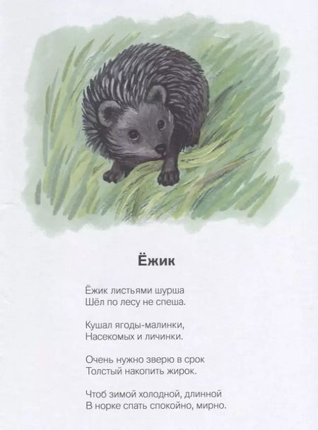 Фотография книги "Надежда Кузнецова: На лесной тропинке (илл. Нагорная) Кузнецова"