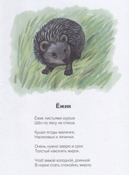 Фотография книги "Надежда Кузнецова: На лесной тропинке (илл. Нагорная) Кузнецова"