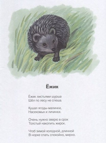 Фотография книги "Надежда Кузнецова: На лесной тропинке (илл. Нагорная) Кузнецова"