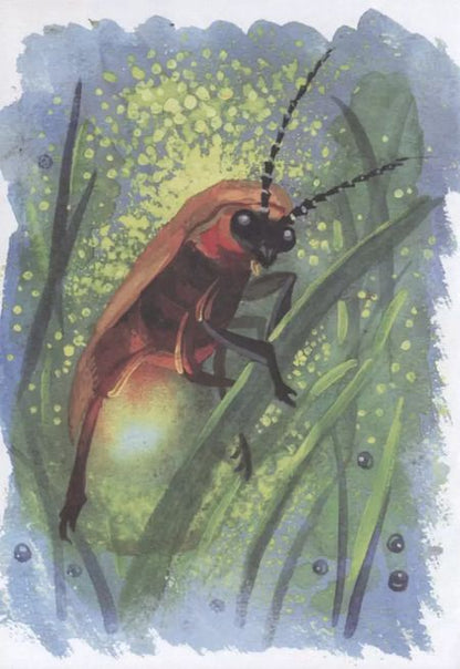 Фотография книги "Надежда Кузнецова: На лесной тропинке (илл. Нагорная) Кузнецова"