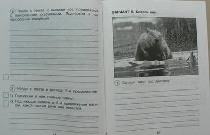 Фотография книги "Надежда Лаврова: Русский язык. 4 класс. Тетрадь для самостоятельной работы. Подготовка к ВПР. В 2-х частях. Часть 1"