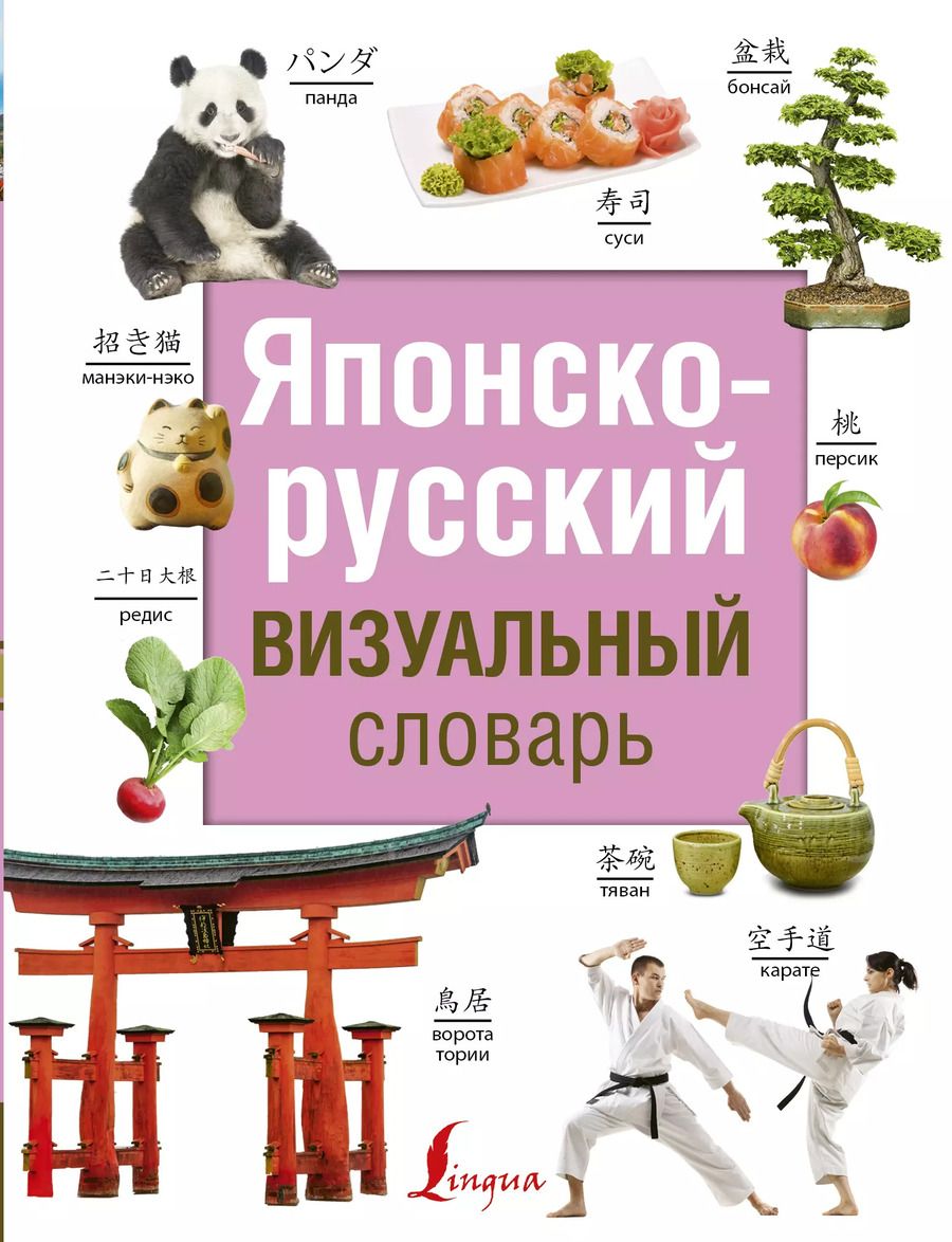 Обложка книги "Надежда Надежкина: Японско-русский визуальный словарь"