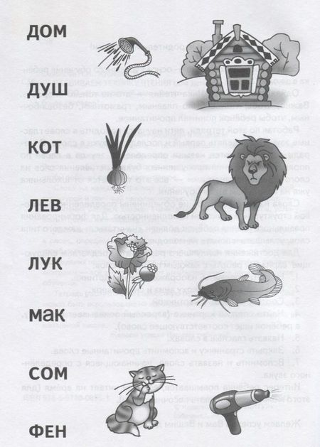 Фотография книги "Надежда Созонова: Развиваем технику чтения ( 5-7 лет). Тетрадь."