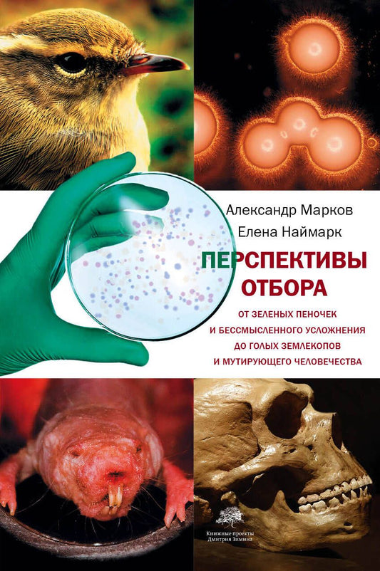 Обложка книги "Наймарк, Марков: Перспективы отбора. От зеленых пеночек и бессмысленного усложнения до голых землекопов и мутирующего человечества"