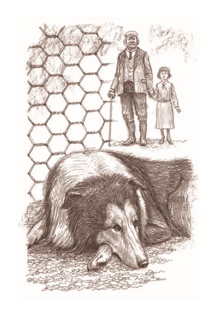 Фотография книги "Найт: Лесси возвращается домой"