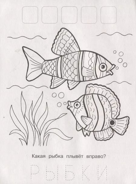Фотография книги "Напиши. Наклей. Раскрась (Белка)"