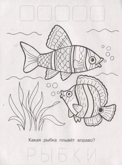 Фотография книги "Напиши. Наклей. Раскрась (Белка)"