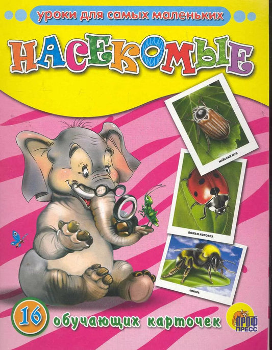 Обложка книги "Насекомые. 16 обучающих карточек"