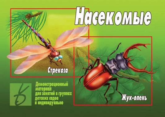 Обложка книги "Насекомые. Демонстрационный материал для занятий в группах детских садов и индивидуально"