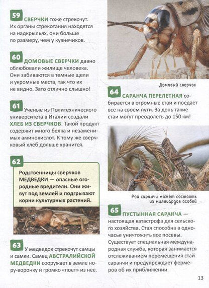Фотография книги "Насекомые. Энциклопедия российского школьника. 250 фактов"