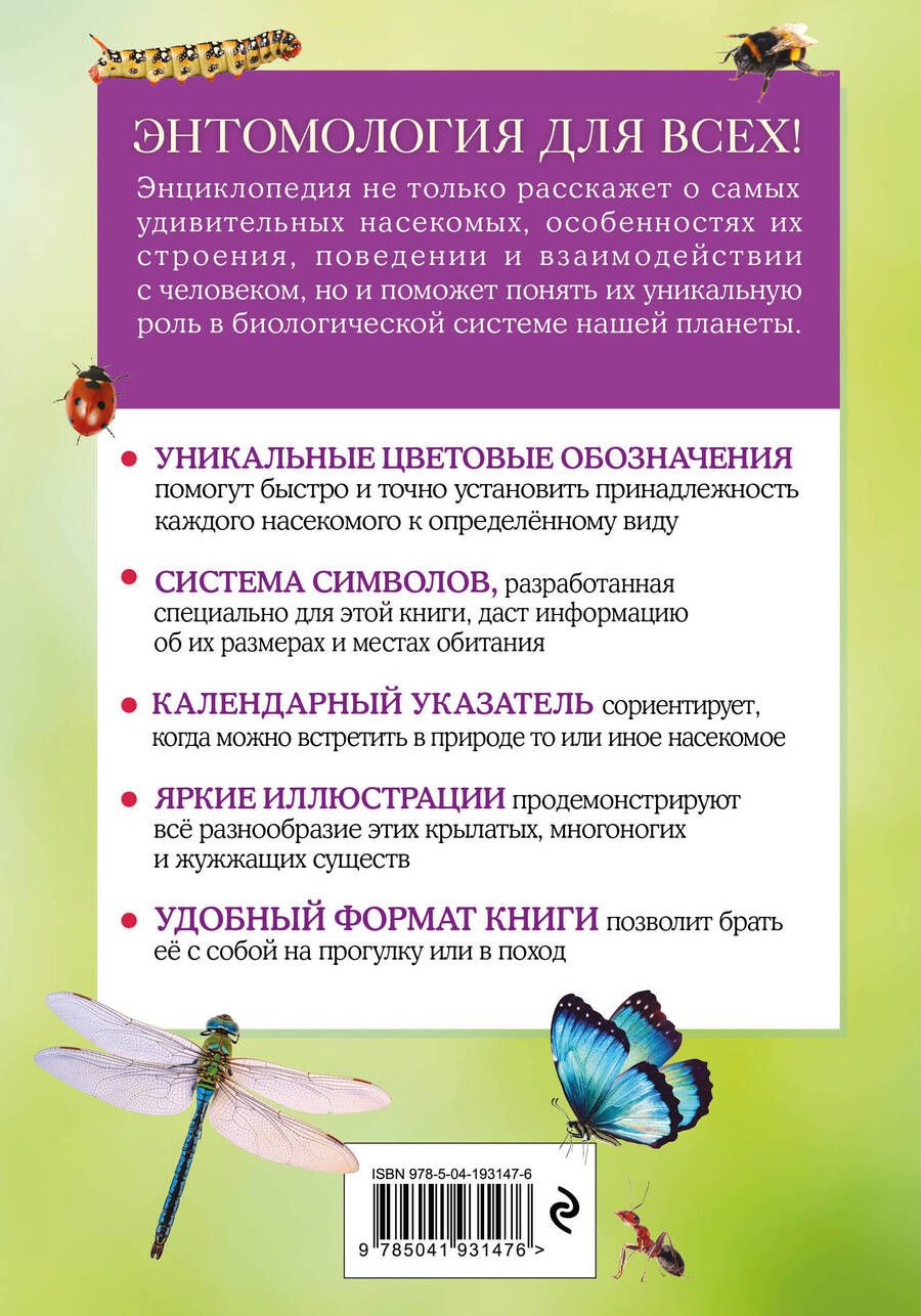 Обложка книги "Насекомые. Краткий иллюстрированный справочник"