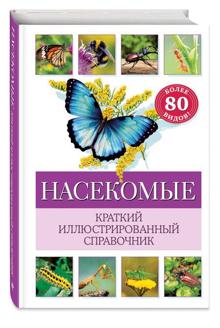 Фотография книги "Насекомые. Краткий иллюстрированный справочник"