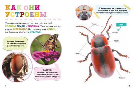 Фотография книги "Насекомые. Первая энциклопедия малыша"